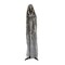 65" Animated Halloween Shrouded Skeleton, Sound Activated
